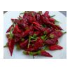 chili-klein.jpg