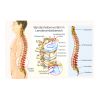 fotolia_143544681_m.jpg