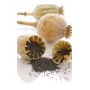 fotolia_16863262_m.jpg