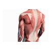 fotolia_71272377_s.jpg